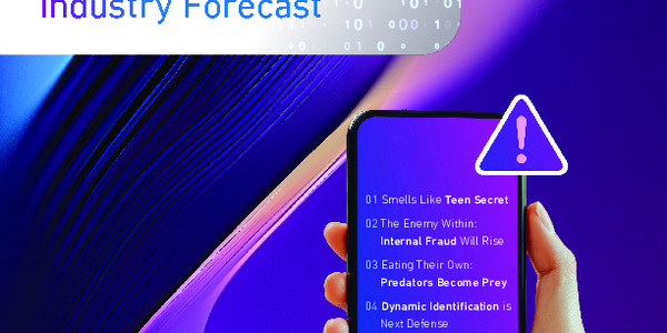 Experian® 2025 Data Breach Industry Forecast