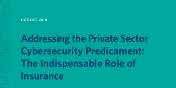 Addressing the Private Sector Cybersecurity Predicament