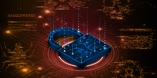 2025 Insights Report on Personal Cyber Incidents 